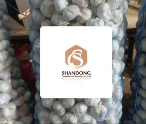 Premium Export Quality White Garlic Bulbs