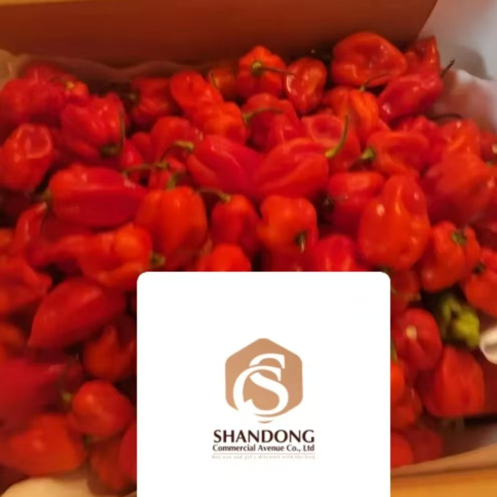 High Spice, Sun-Ripened, Premium Quality Vibrant Crimson Red Peppers