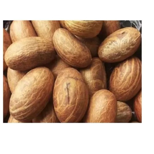 Premium Quality Africa Bitter Kola Nuts for Export & Wholesale Supply