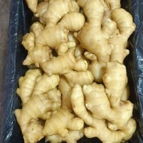 High Grade, Aromatic and Nutrient Rich Fresh Golden Ginger