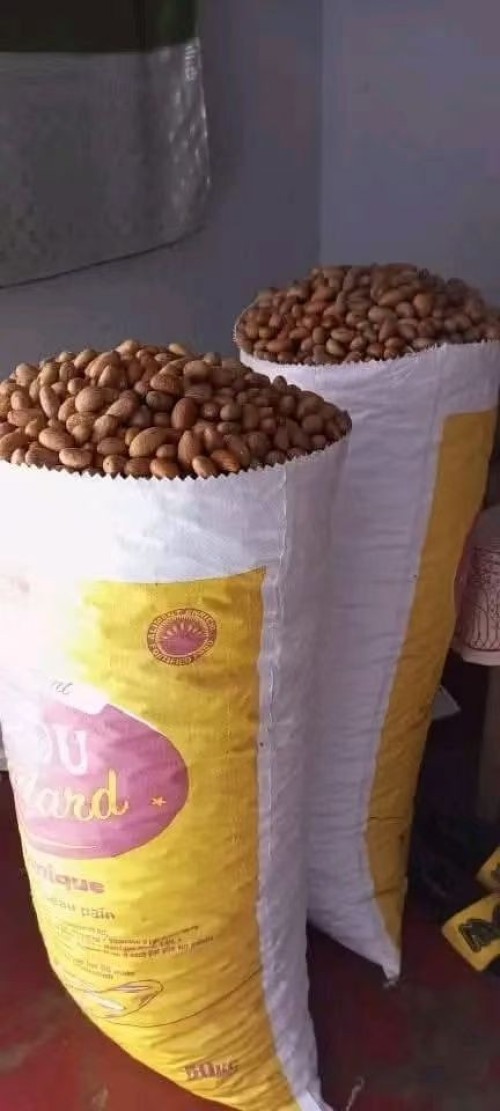 Premium Quality Africa Bitter Kola Nuts for Export & Wholesale Supply