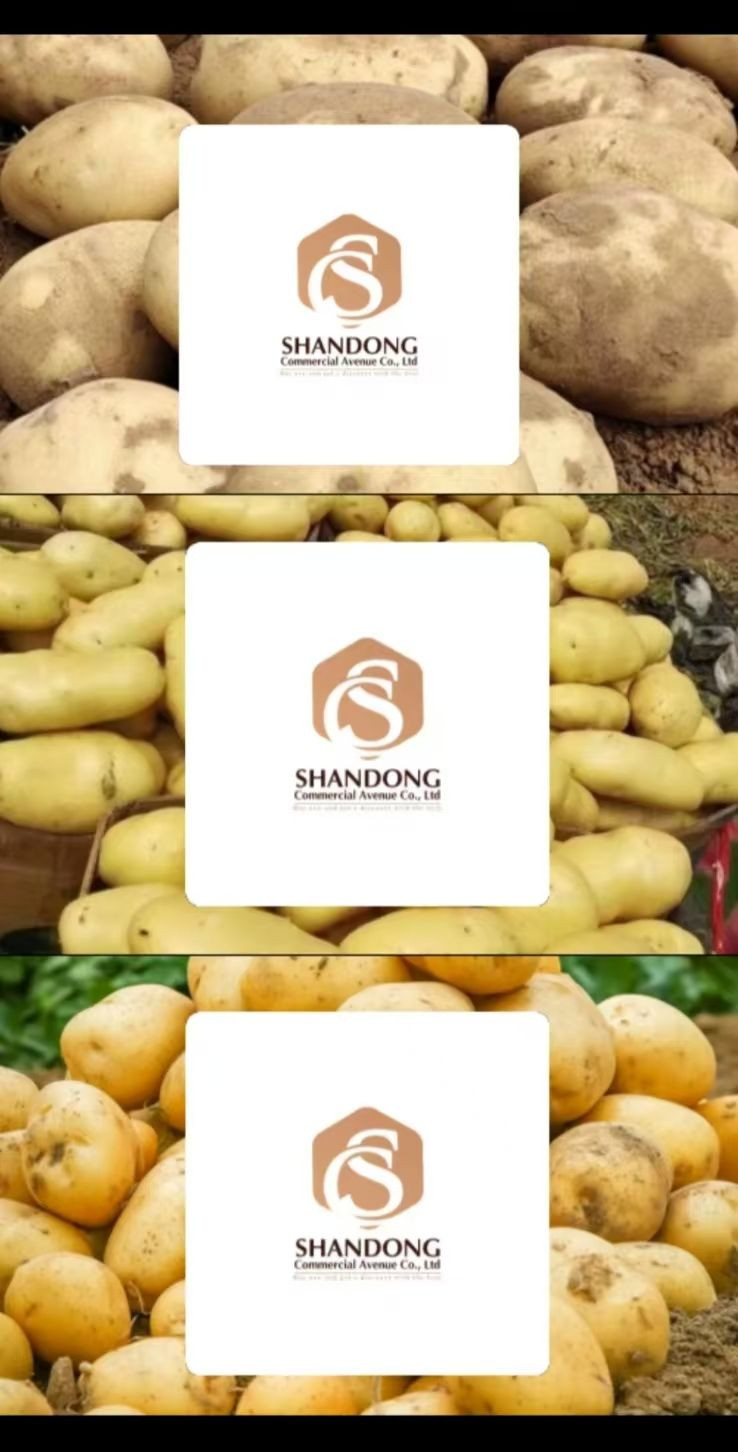 Food Chain Top Quality Farm Fresh Potatoes