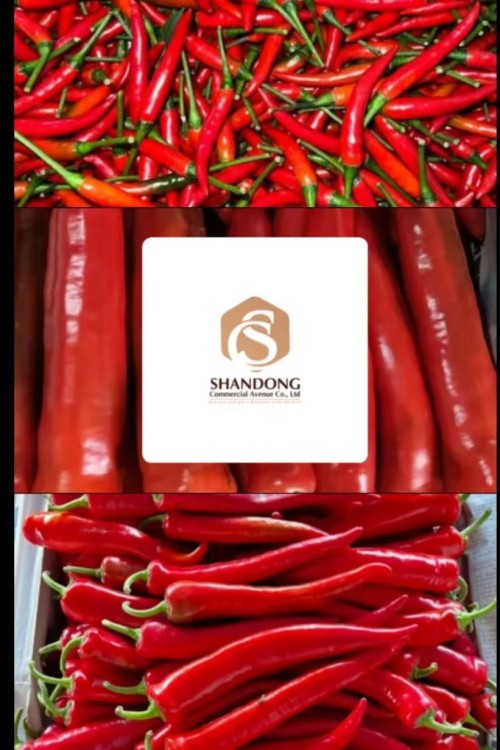 High Spice, Sun-Ripened, Premium Quality Vibrant Crimson Red Peppers