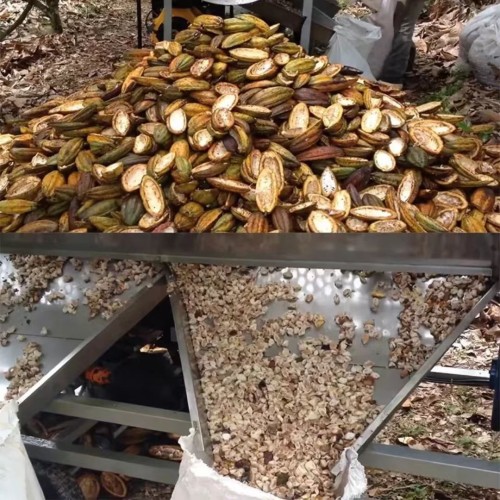 Cocoa Pod Peeling Machinery