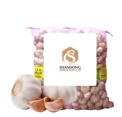 Premium Export Quality White Garlic Bulbs