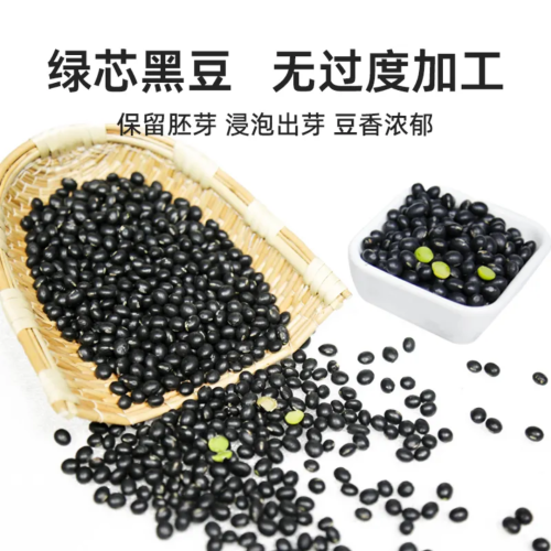 High Protein Black Soya Beans Origin China