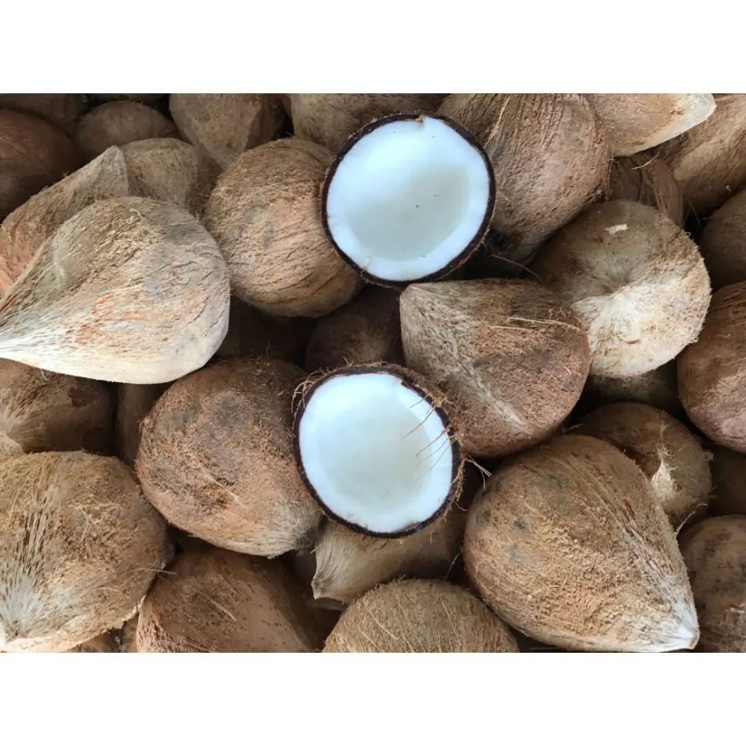 Wholesale Top Premium Organic Dried Coconut