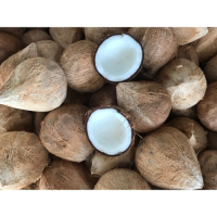 Wholesale Organic Dried Coconut With High Akaline nutrient Good For Cancerious Patient
