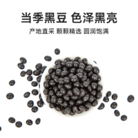 High Protein Black Soya Beans Origin China