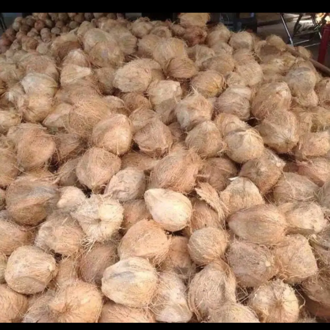 Wholesale Top Premium Organic Dried Coconut