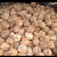 Wholesale Organic Dried Coconut With High Akaline nutrient Good For Cancerious Patient