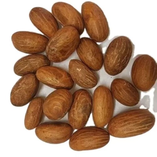 Premium Quality Africa Bitter Kola Nuts for Export & Wholesale Supply